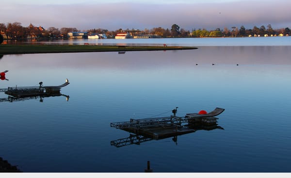 Ironman 70.3 Ballarat the latest WTC event to be announced in Australia